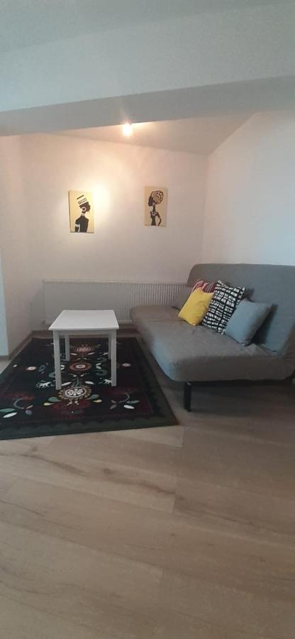 Апартаменты Apartament Central. Bloc Nou. Бакэу Экстерьер фото