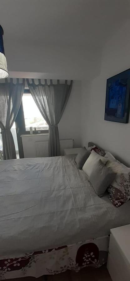 Апартаменты Apartament Central. Bloc Nou. Бакэу Экстерьер фото