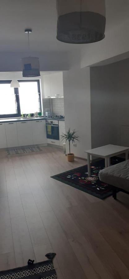 Апартаменты Apartament Central. Bloc Nou. Бакэу Экстерьер фото